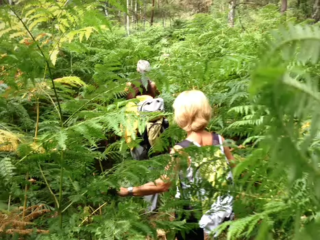 2015-07 Fontainebleau