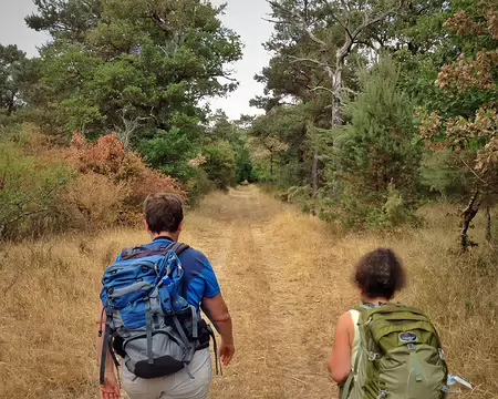 18 juillet 2015 - 4 A fond dans les lignes droites et plates !