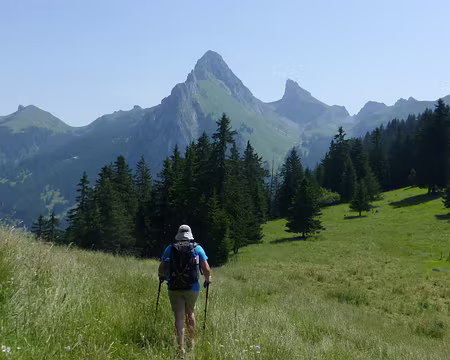 PXL005 Dans les prairies opulentes de Haute Savoie