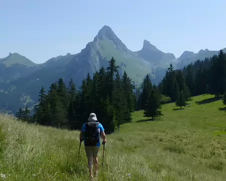 PXL005 Dans les prairies opulentes de Haute Savoie