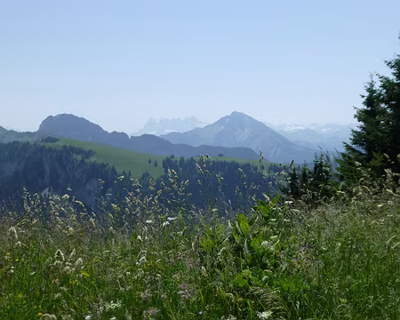 PXL008 Au loin les Dents du Midi et les glaciers suisses