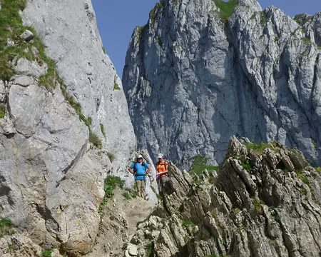 PXL025 C'est que le terrain se corse.