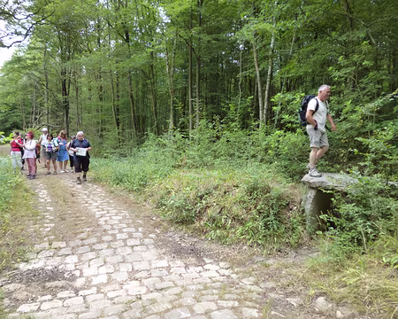 PXL017 Gué en forêt de Dourdan
