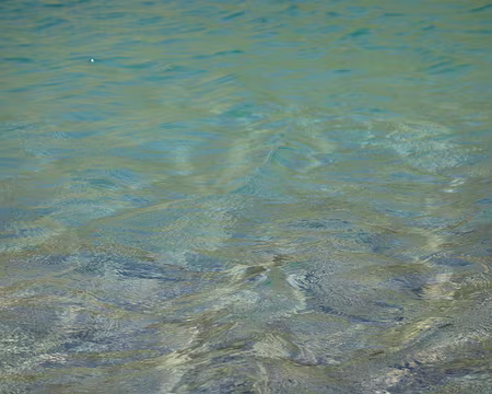 DSC00053 Moment de fraicheur