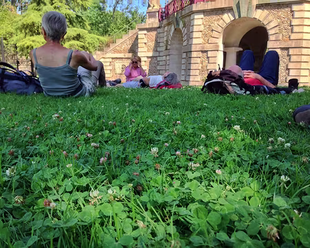 2 aout 2015 - 1 Un repos bien mérité sur l’herbe et les trèfles
