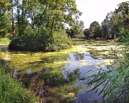 2 aout 2015 - 5 L’étang devant le pavillon chinois de l’Isle Adam