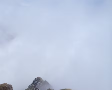 PXL003 Là où homo sapiens devient quadrupède