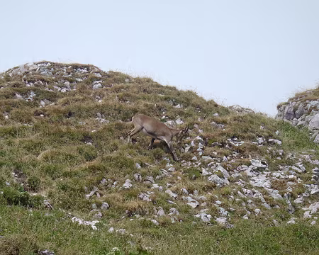 PXL006 pour nous montrer son agilité