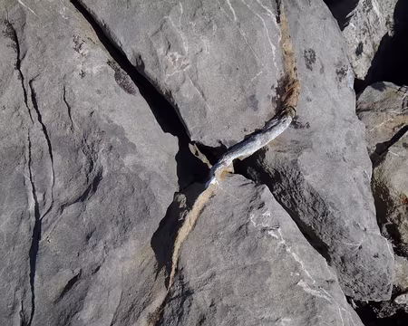 PXL054 Erosion sur une roche non homogène