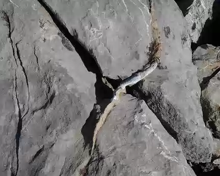 PXL054 Erosion sur une roche non homogène