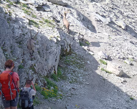 PXL055 En route vers la tête du Colonney