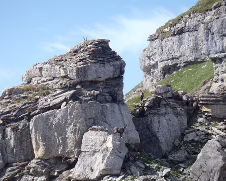 PXL056 En route vers la tête du Colonney