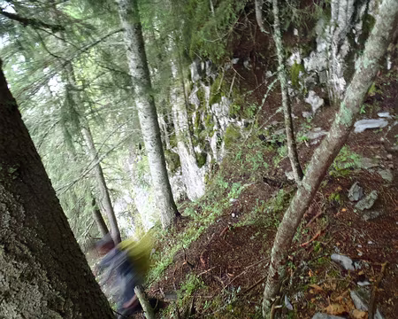 PXL074 Vraiment très verticale