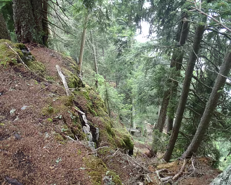 PXL078 le parapente serait plus indiqué