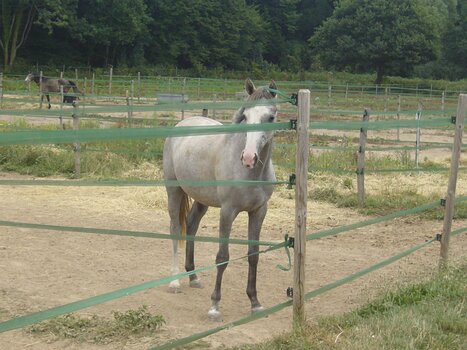 Pascale Pascale M, détail sortie