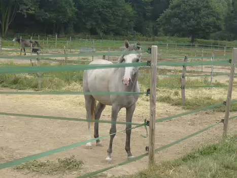Pascale Pascale M, détail sortie
