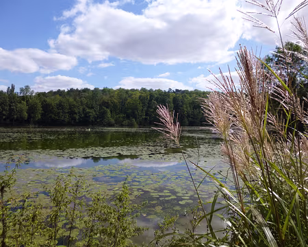 PXL009 Grand étang de Moulineux