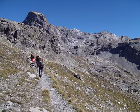 PXL003 Végétation limitée