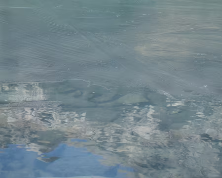 PXL010 Encore un, vu de près, légèrement gelé