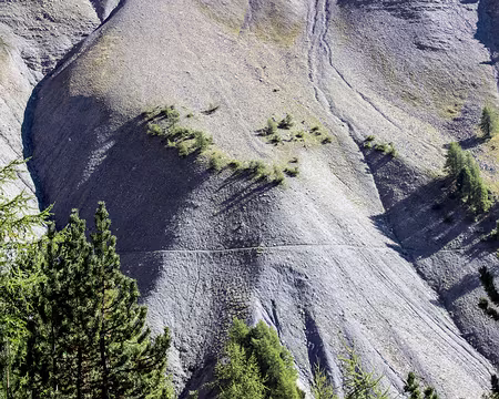 037_img_1136 Le sentier horizontal porte bien son nom !