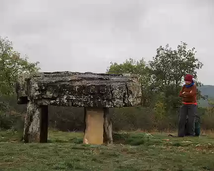 PXL138 dolmen de Vaour