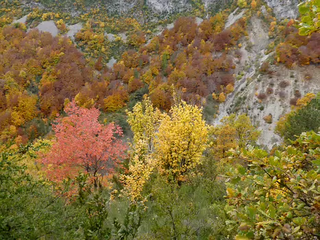 2015-10 Alpes de Haute-Provence