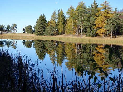 Claudine Claudine P, détail sortie
