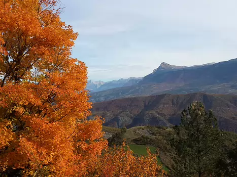 Valérie Valérie B, détail sortie