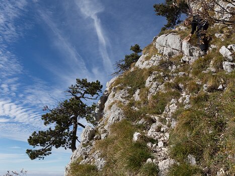 Philippe Philippe C, détail sortie