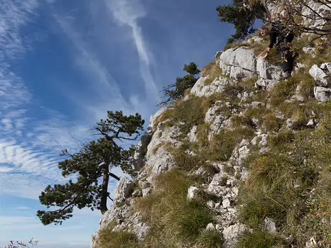 Philippe Philippe C, détail sortie