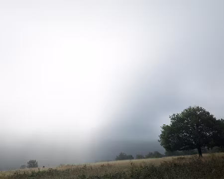 2015_10_10_10h0256 Samedi dans le brouillard...