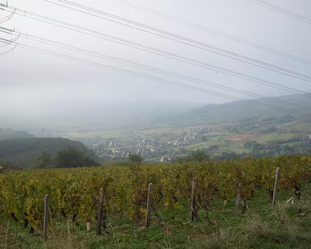 2015_10_10_10h1402 ... à travers le vignoble de Pouilly....