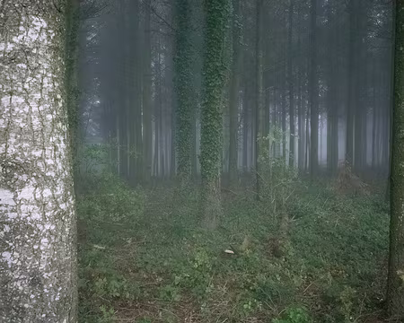2015_10_11_09h1118 ... évoquant un film de Tarkovski ?