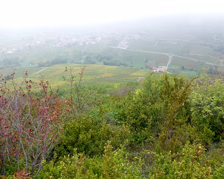 PXL004 Vue du sommet de la Roche (presque 500 m d'altitude !)