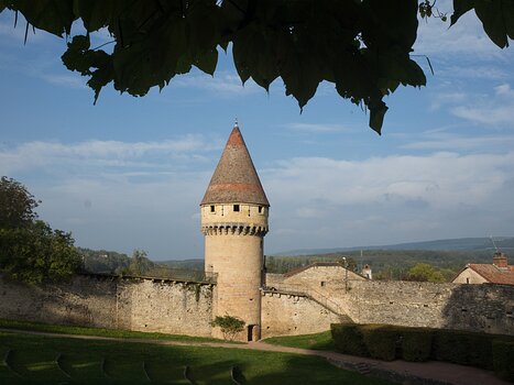 Alain Alain Z, détail sortie