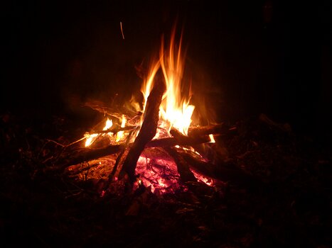 Bernadette Bernadette P, détail sortie