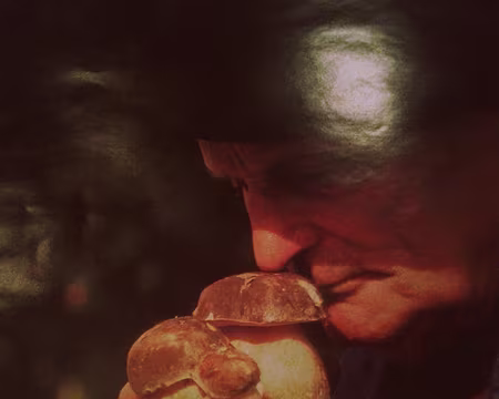 20151026_191236 pas trouvé des comme ça