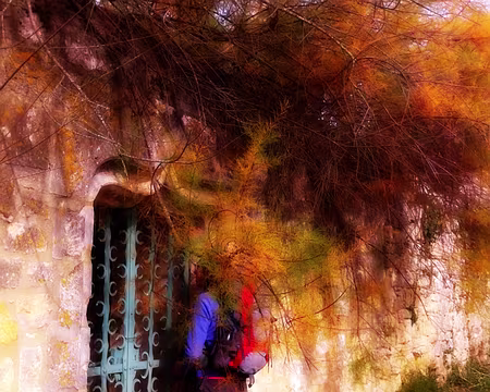 20151029_135632 Domme