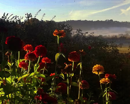 20151030_081439-1 à la ferme fleurie