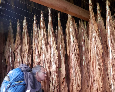 PA280270 Séchoir à tabac