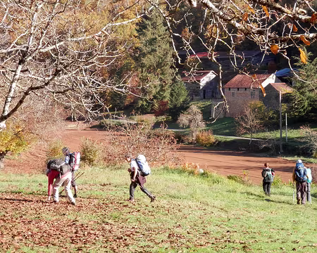 PA300355 encore des noix