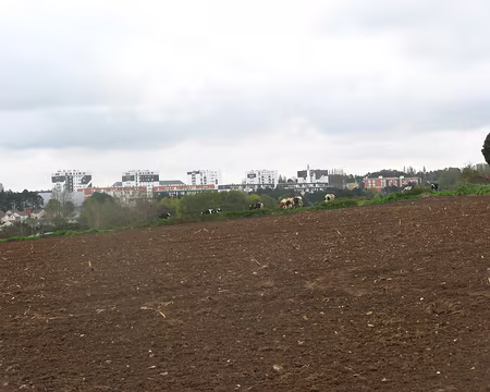 003 couleurs similaires