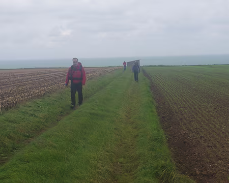 Après un pique nique abrité Après un pique nique abrité.