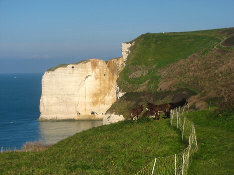 David David V, détail sortie