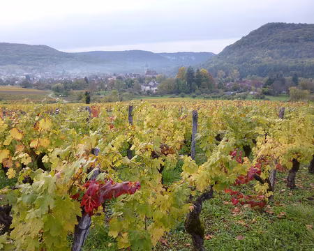 PXL016 Le village de Mesnay, près d'Arbois, est à l'entrée de la reculée des Planches