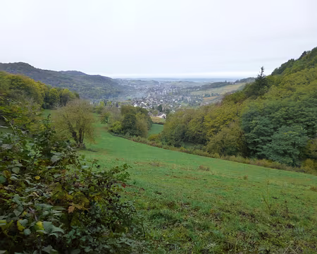 PXL017 Mesnay et au fond Arbois