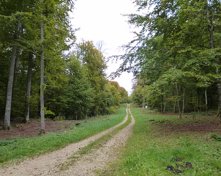 PXL025 L'allée du Roi de Rome