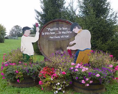 PXL048 Joli parcours automnal dans le vignoble jurassien. Merci à Luc.
