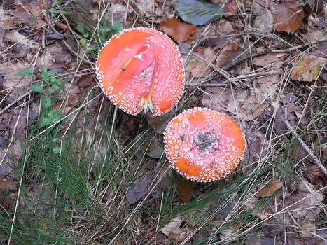 2015-10 Pays de l Autunois