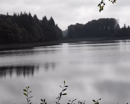 PXL008 �tang du Martinet